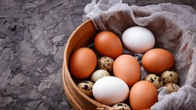 ما هي انواع البيض؟ 15 نوع ربما لم تسمعي عن الكثير منها من قبل