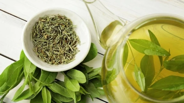 ما هي فوائد مقشر الشاي الأخضر وكيف يمكن تحضيره في المنزل؟