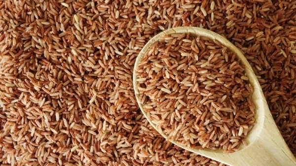 ما هي فوائد الأرز البني والباستا السمراء على خسارة دهون البطن؟