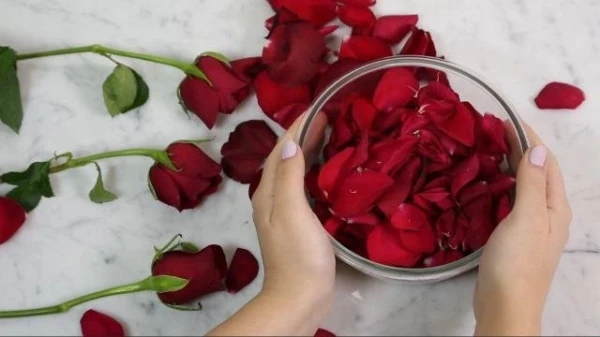 بالفيديو، طريقة عمل رذاذ مثبّت للمكياج من بتلات الورود