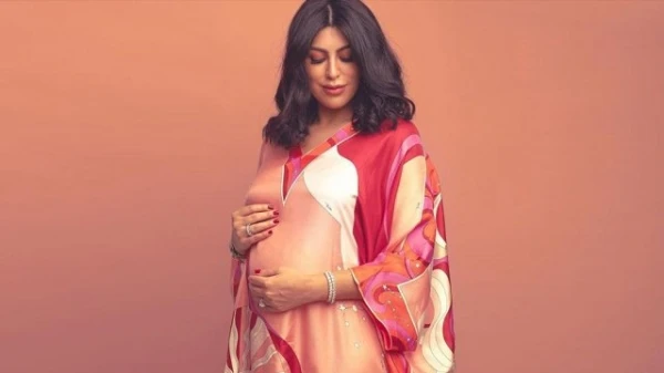 بالفيديو، أبرز إطلالات دانة الطويرش خلال فترة الحمل