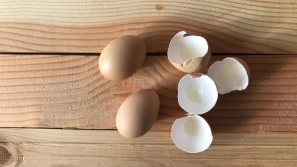فوائد قشر البيض الجمالية... وماذا عن استخداماته المنزلية الأخرى؟