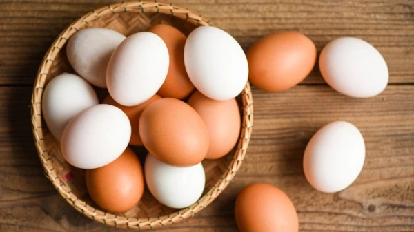 ما الفرق بين البيض الابيض والبيض الاسمر؟