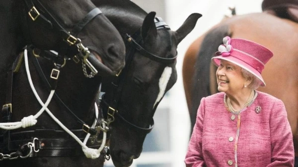 بالفيديو، علاقة الملكة إليزابيث بالأحصنة: قصّة صداقة طويلة وشغف كبير