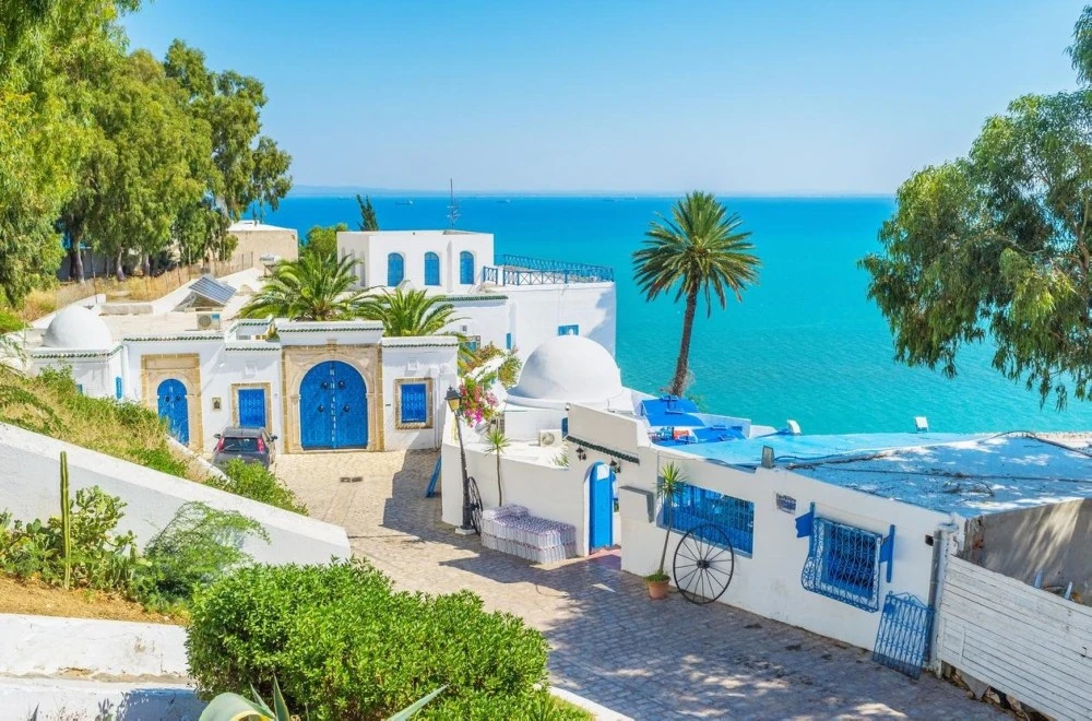 مدينة سيدي بوسعيد في تونس  -  اشهر المعالم السياحية في العالم