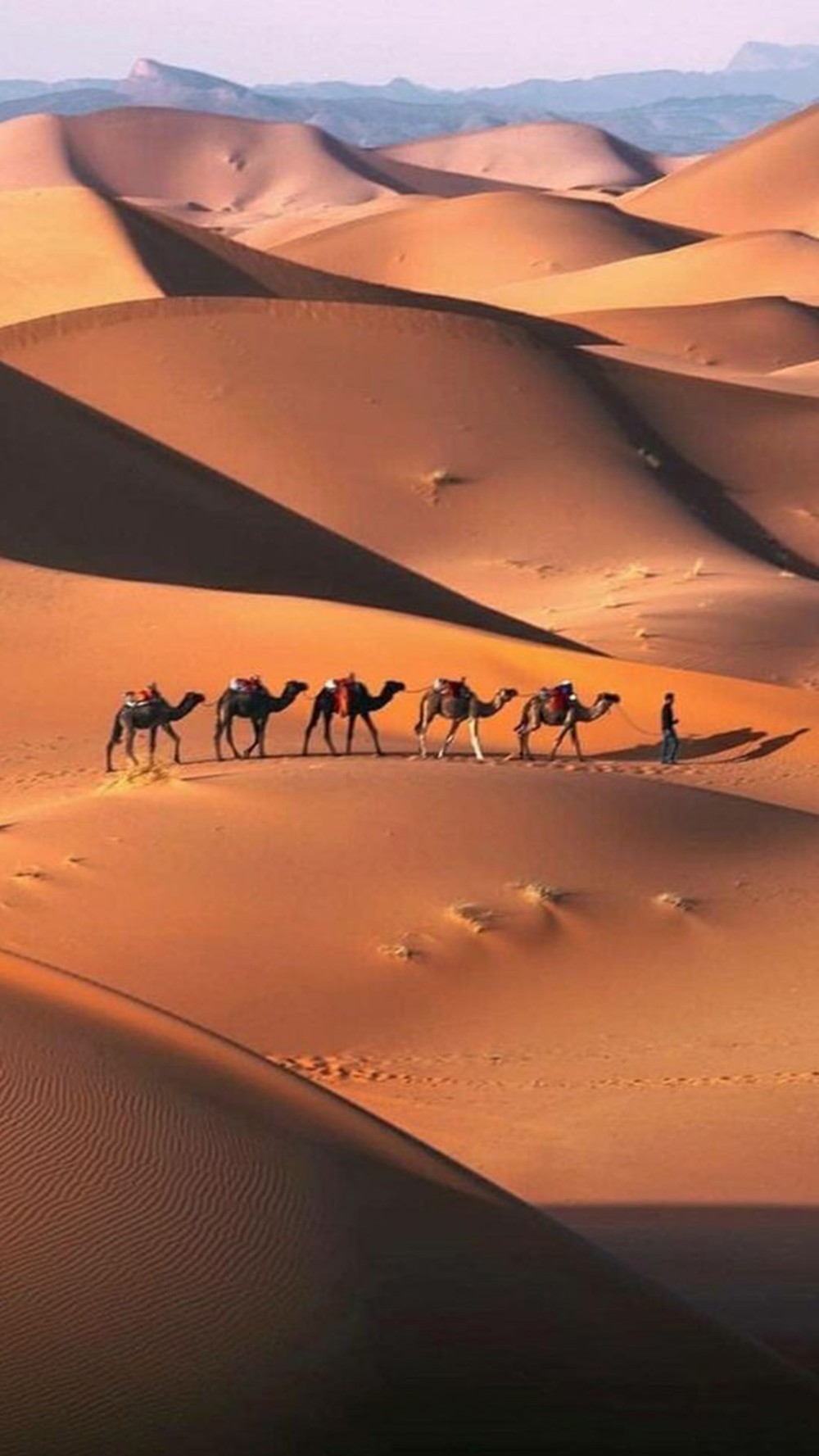 خلفيات اليوم الوطني السعودي