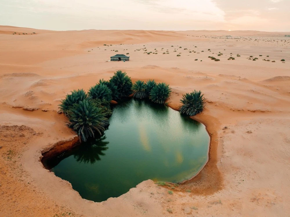 وجهات سياحية في السعودية مشاريع مقبلة في السعودية اليوم الوطني السعودي 93