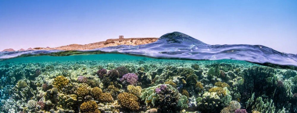 مشاريع رؤية 2030