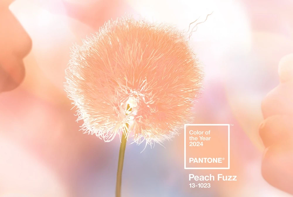 لون بانتون Peach Fuzz هو تدرّج عام 2024، رسالة سلام ووحدة
