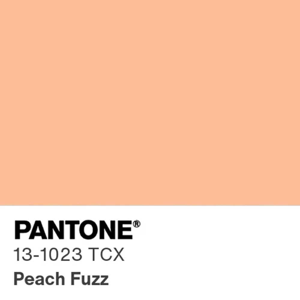 Peach fuzz لون بانتون الجديد لعام 2024