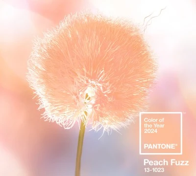 لون بانتون Peach Fuzz هو تدرّج عام 2024، رسالة سلام ووحدة