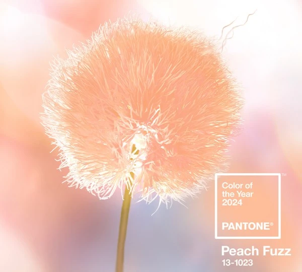 لون بانتون Peach Fuzz هو تدرّج عام 2024، رسالة سلام ووحدة