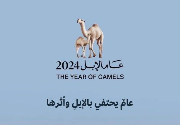 تسمية 2024 عام الإبل في السعودية