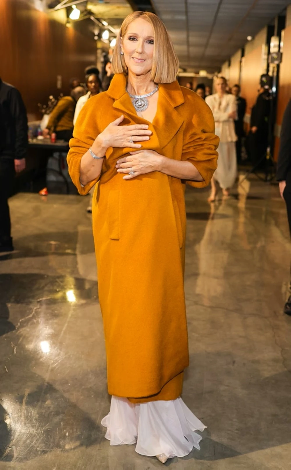 Celine Dion في ملابس من فالنتينو Valentino ومجوهرات من تيفاني اند كو Tiffany & Co.