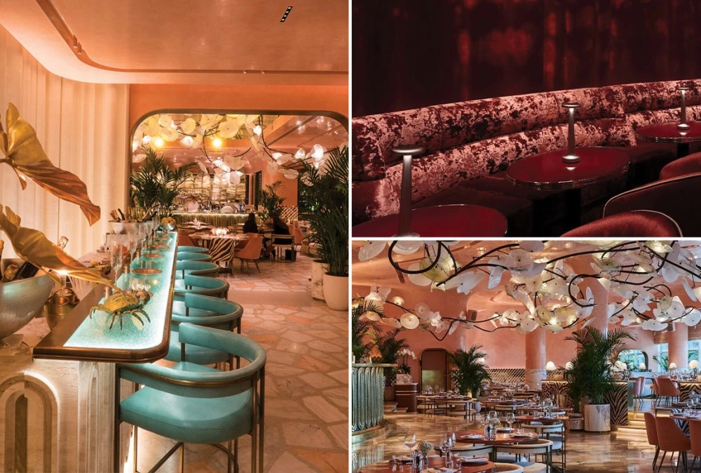 أفضل مطاعم في أبو ظبي لتجربة تذوّق فريدة من نوعها