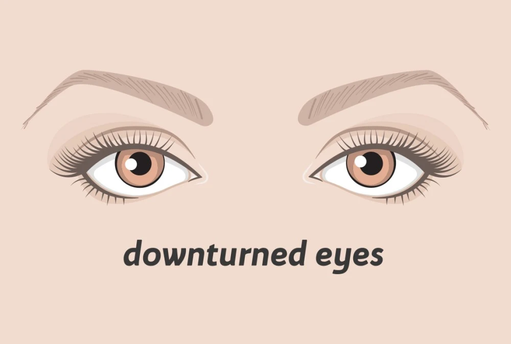 ما هي أشكال العيون
