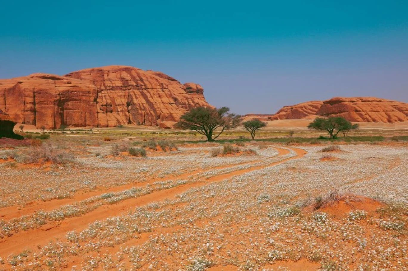 بمناسبة اليوم الوطني السعودي: 94 صورة تكشف مدى جمال المملكة