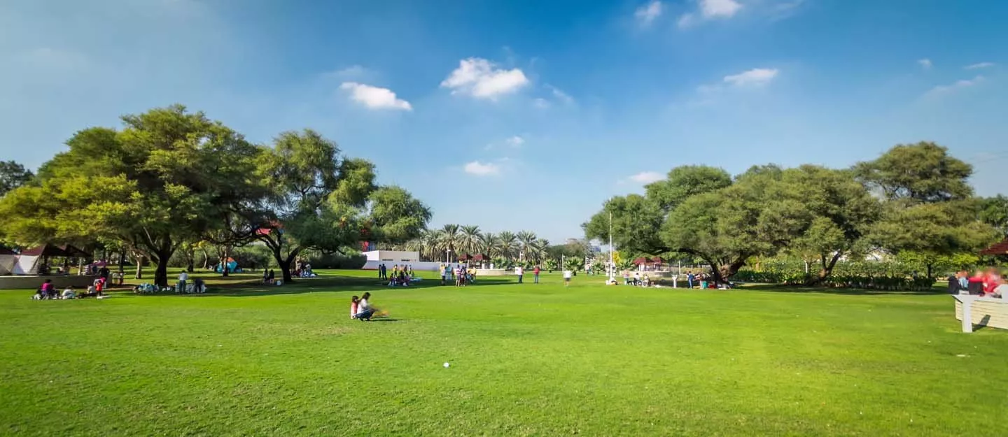 السياحة في دبي: أفضل 10 أماكن بيكنيك لتناول الطعام في الهواء الطلق
