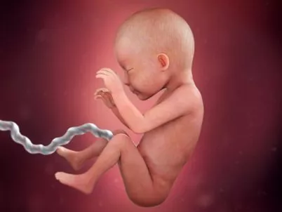 كيف يبدو طفلك أثناء نموه بداخلك؟ إليكِ مراحل نمو الجنين بالصور أسبوعيّاً خلال الحمل