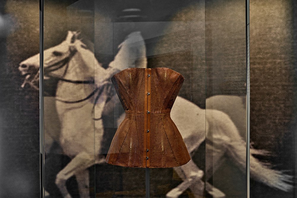 معرض Harnessing the Roots من Hermès هيرميس