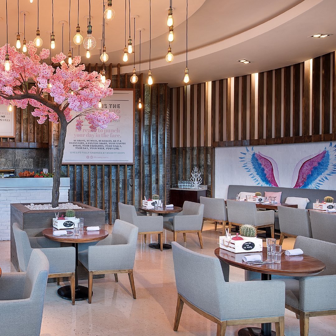 مطاعم دبي   مطعم   مقاهي   مقهى    فيجن   دبي   الامارات