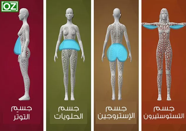 4 أشكال جديدة من الأجسام، إلى أيّها تنتمين وكيف تتخلّصين من الوزن الزائد فيها؟