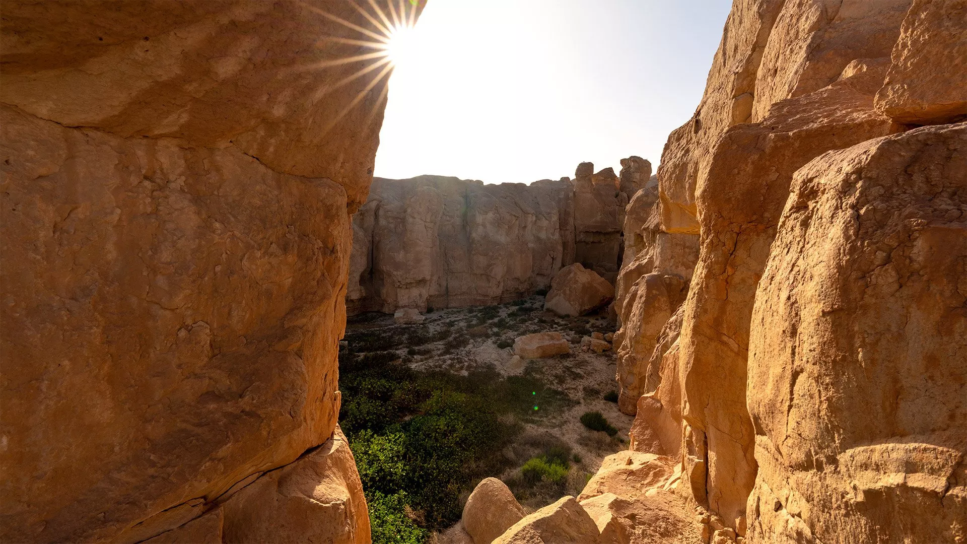 أبرز الأماكن السياحية في مدينة الأحساء في السعودية: إحدى أكبر الواحات الطبيعية في العالم