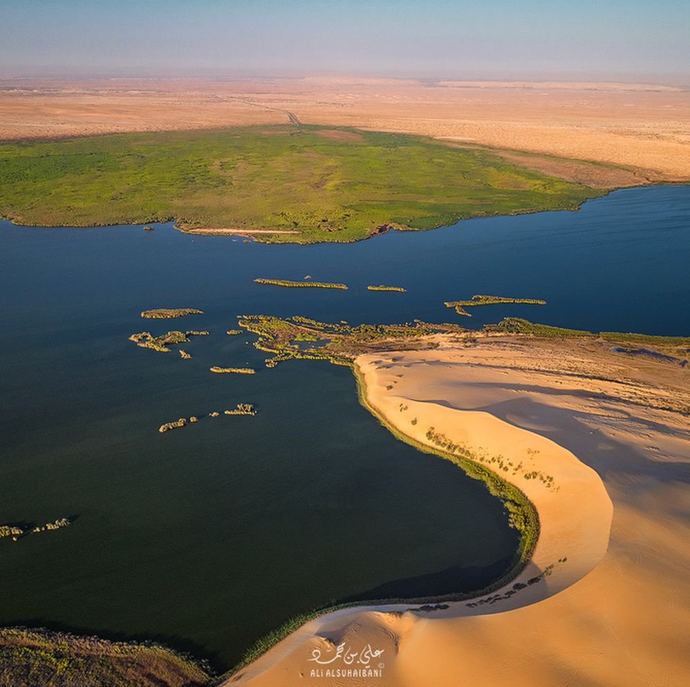 بحيرة الأصفر الاحساء السعودية