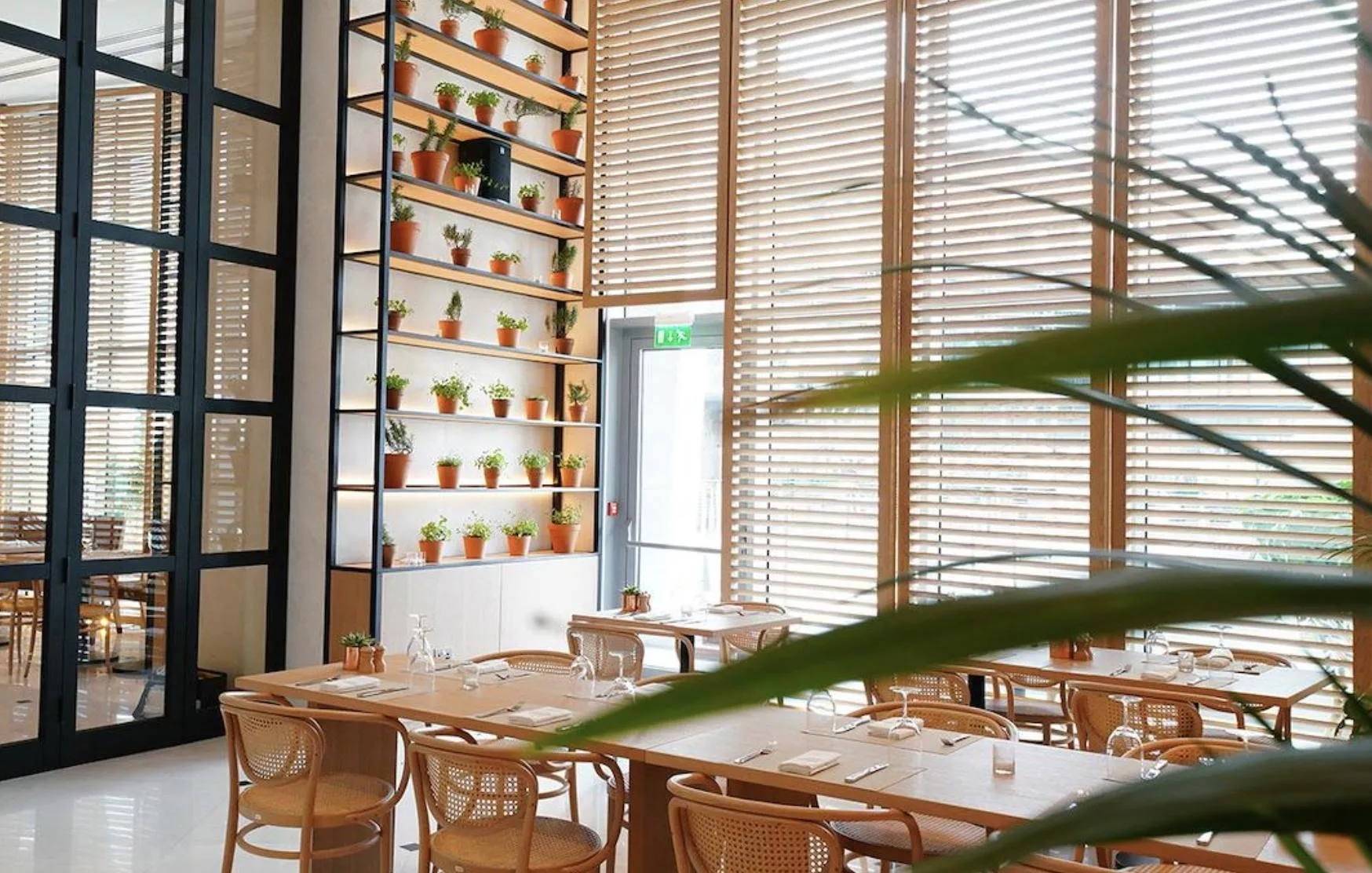 أفضل 10 مطاعم برنش في أبو ظبي تضمن لكِ جلسة مميّزة