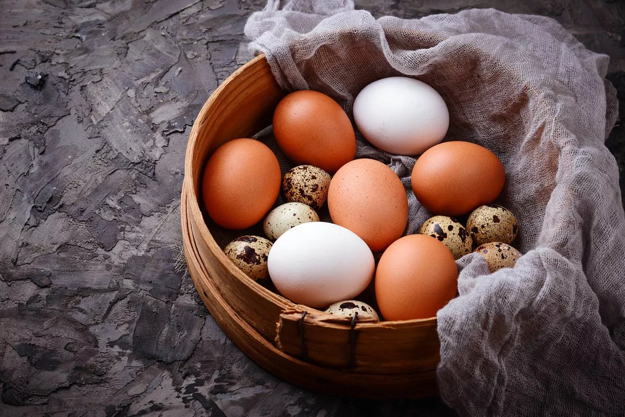 ما هي انواع البيض؟ 15 نوع ربما لم تسمعي عن الكثير منها من قبل