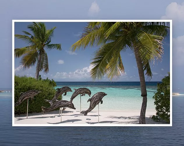 Coco Privé، جزيرةٌ خاصّة في الملديف عشتُ فيها حلماً واقعيّاً!