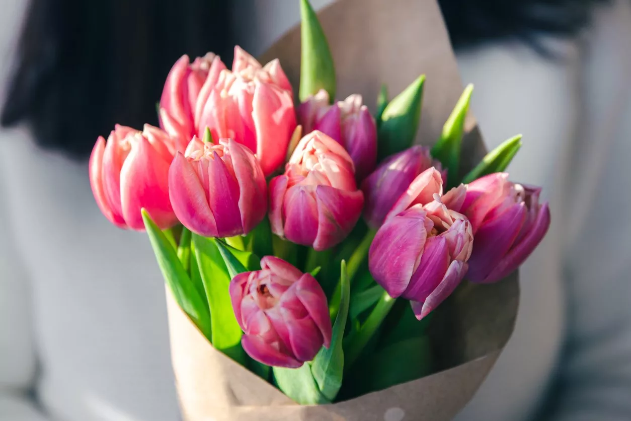 ما هي أشهر أنواع الزهور التي يتم تقديمها في عيد الحب؟