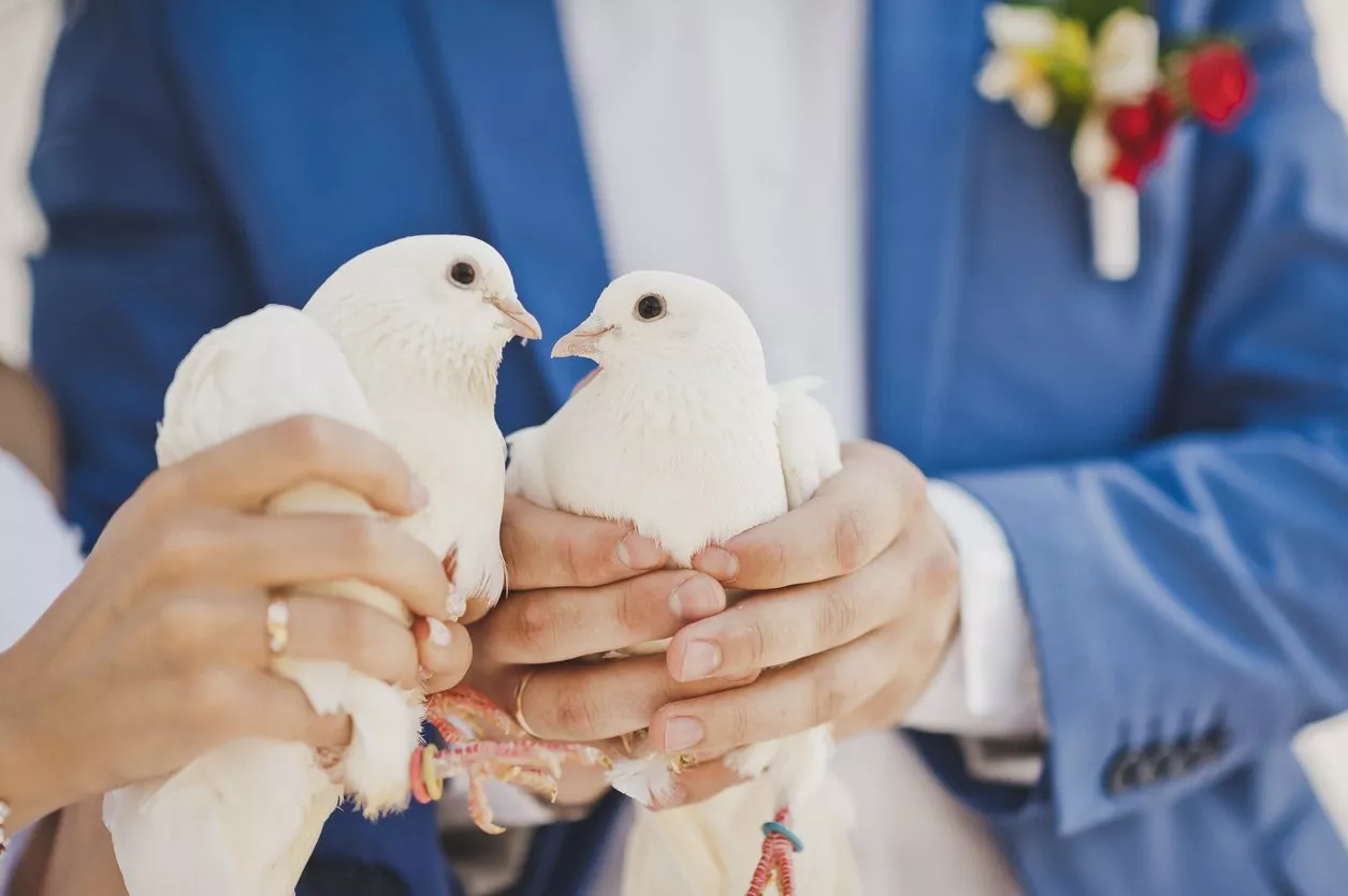 9 نصيحة تضمن استمتاع الضيوف في حفل الزفاف