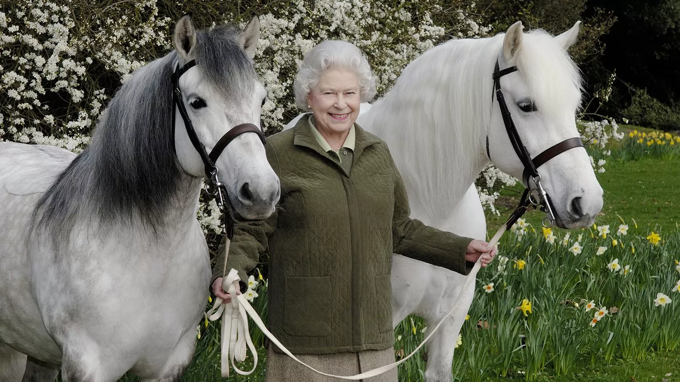 بالفيديو، علاقة الملكة إليزابيث بالأحصنة: قصّة صداقة طويلة وشغف كبير
