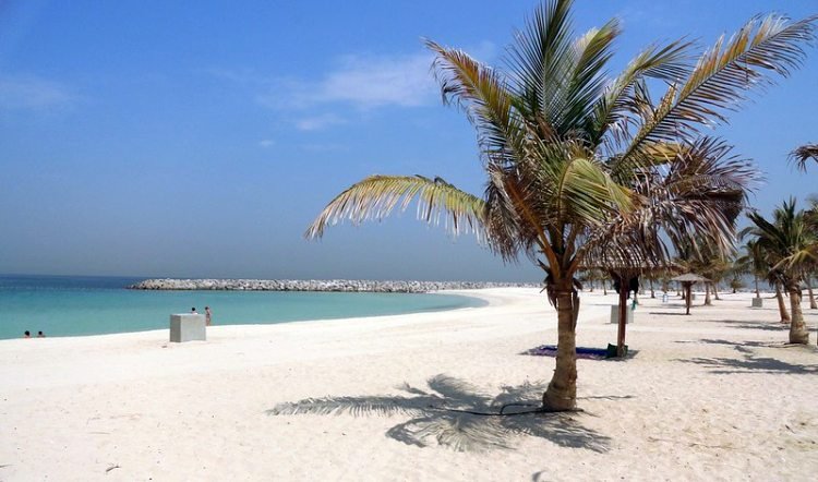 دبي   نزهة   الامارات   الامارات العربية المتحدة السياحة في دبي