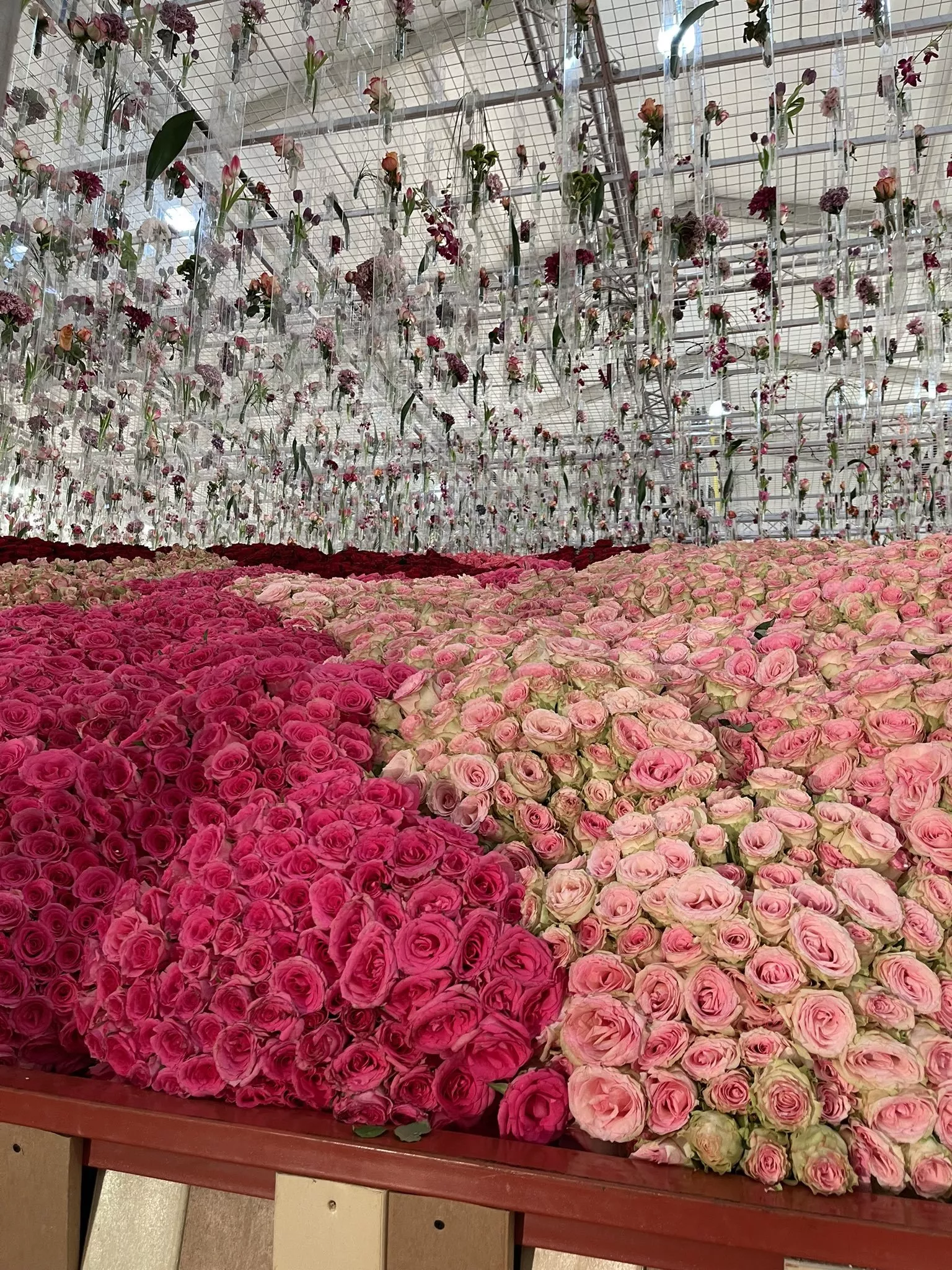 مهرجان طائف الورد يدخل موسوعة غينيس 2022 بأكبر سلَّة ورد في العالم