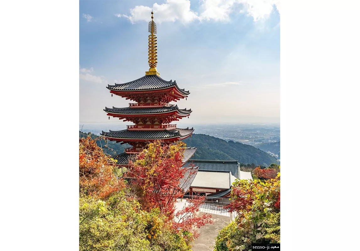 السياحة في كيوشو: أجمل المغامرات بانتظاركِ في هذه الوجهة المخفية