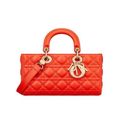 حقيبة Lady D-Joy Bag من Dior