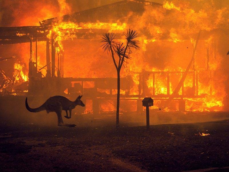 صور حرائق استراليا 2019 
