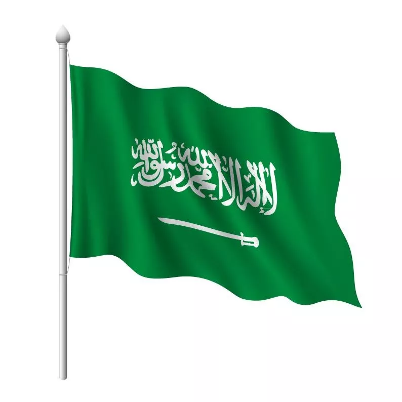 91 حقيقة ومعلومة عن السعودية... بمناسبة اليوم الوطني السعودي