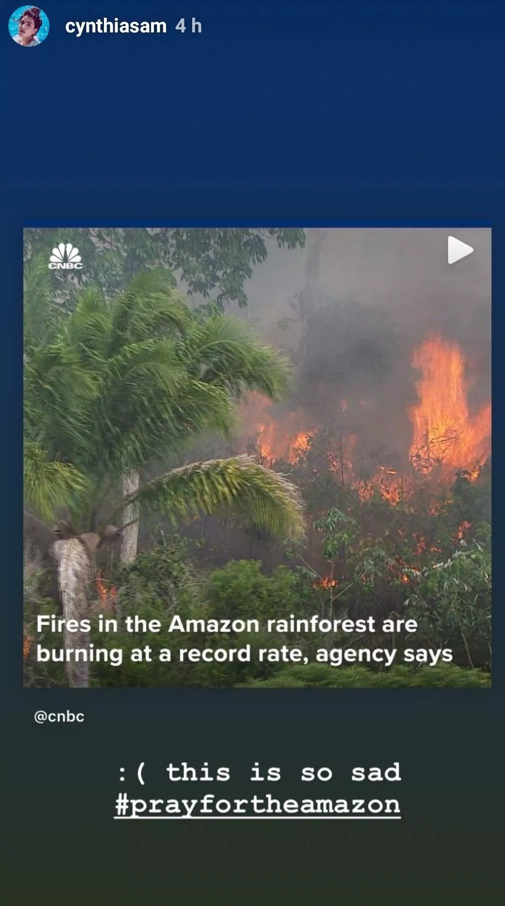 حريق غابات الأمازون: صور مفجعة والنجمات يتضامنََ مع هذه الكارثة البيئية