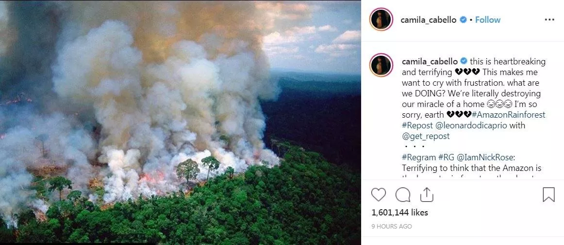 حريق غابات الأمازون: صور مفجعة والنجمات يتضامنََ مع هذه الكارثة البيئية