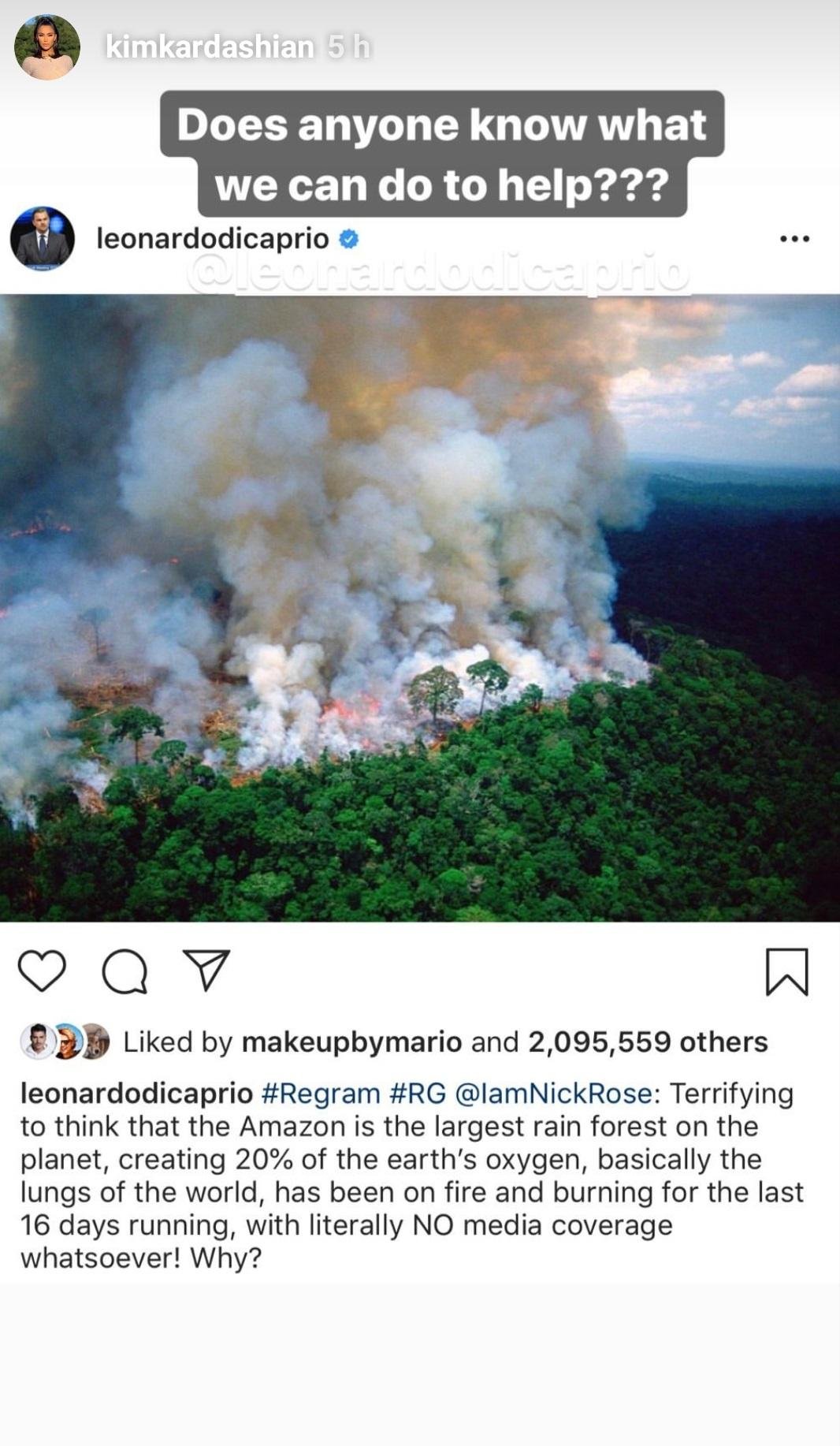 حريق غابات الأمازون الامازون غابة نيران برازيل النجمات