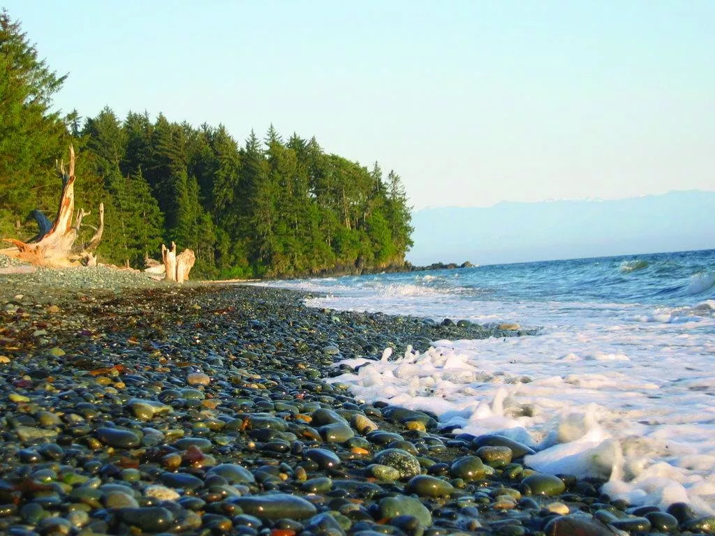 جزيرة Vancouver: الاسترخاء والمرح وسط طبيعة خلّابة