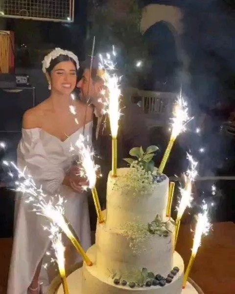 بالصور، زينة مكي تطلّ بلوك ناعم وجميل في حفل زفافها