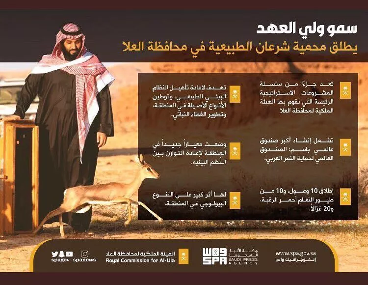 رؤية العلا... مشاريع سياحية ضخمة تعزّز مكانة هذه المنطقة السعودية كوجهة عالمية للتراث والسياحة