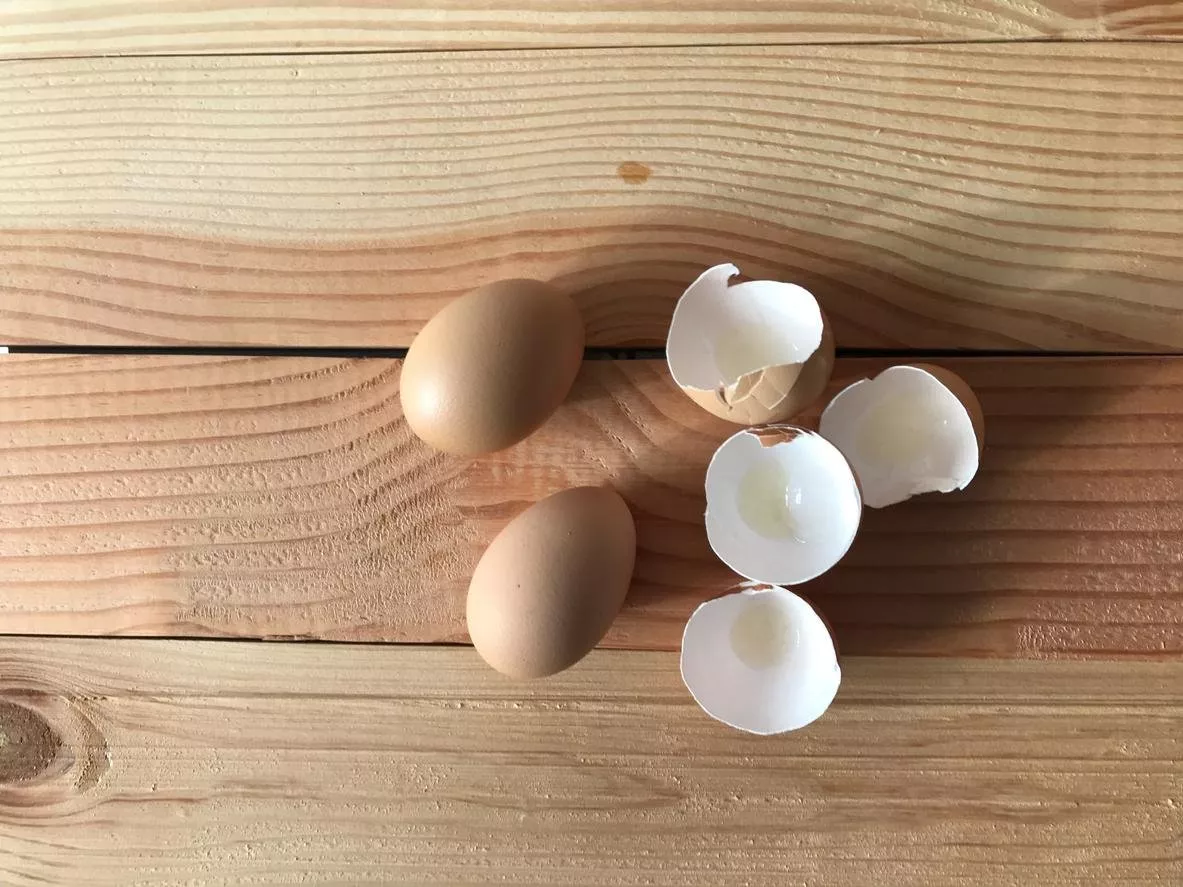 فوائد قشر البيض الجمالية... وماذا عن استخداماته المنزلية الأخرى؟