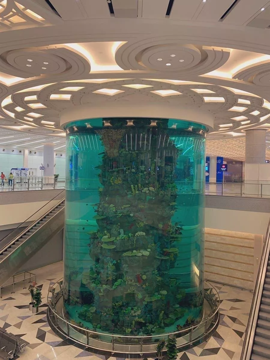 السعودية تدشّن أكبر حوض أسماك في مطارات العالم في جدة