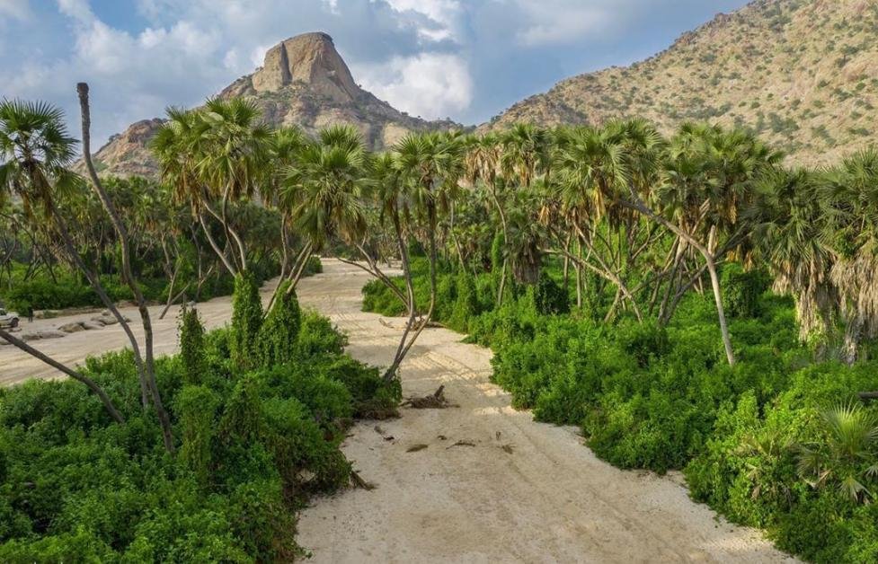 اجازة اليوم الوطني السعودي 2020 المملكة العربية السعودية