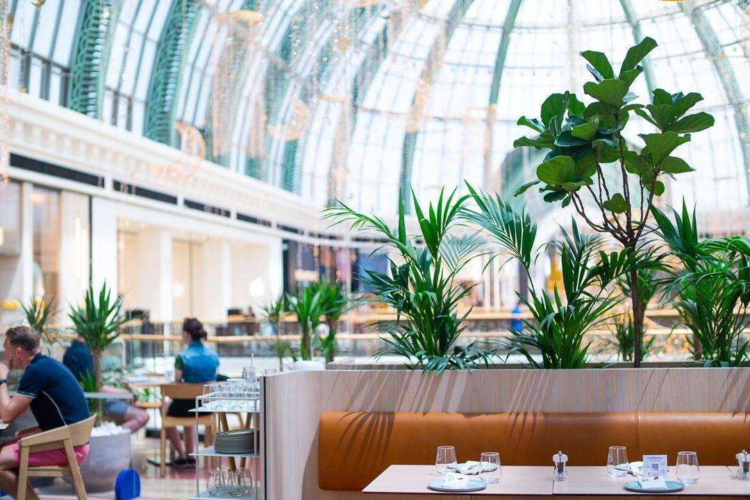 مقاهي  المقاهي   مقهى   دبي   الامارات   الامارات العربية المتحدة 